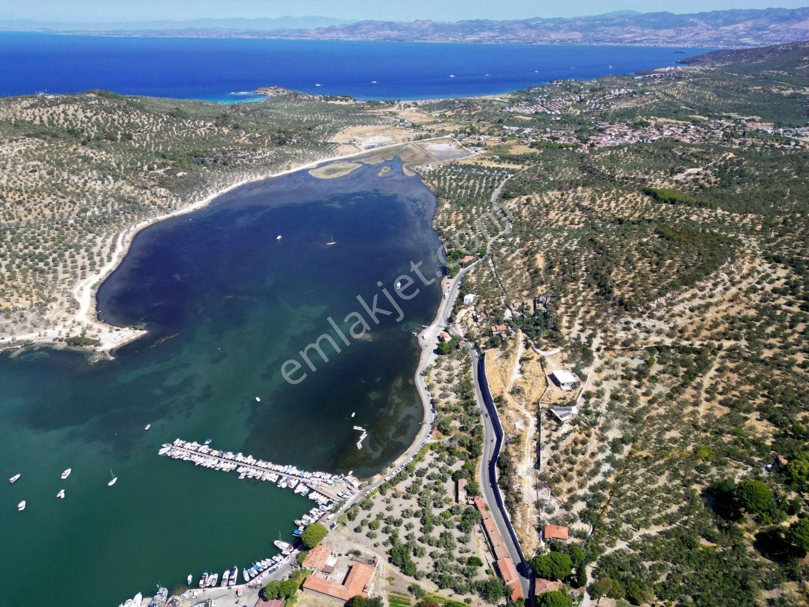 Dikili Bademli Karşıavluda Satılık Deniz Manzaralı Arsa. - Görsel 6