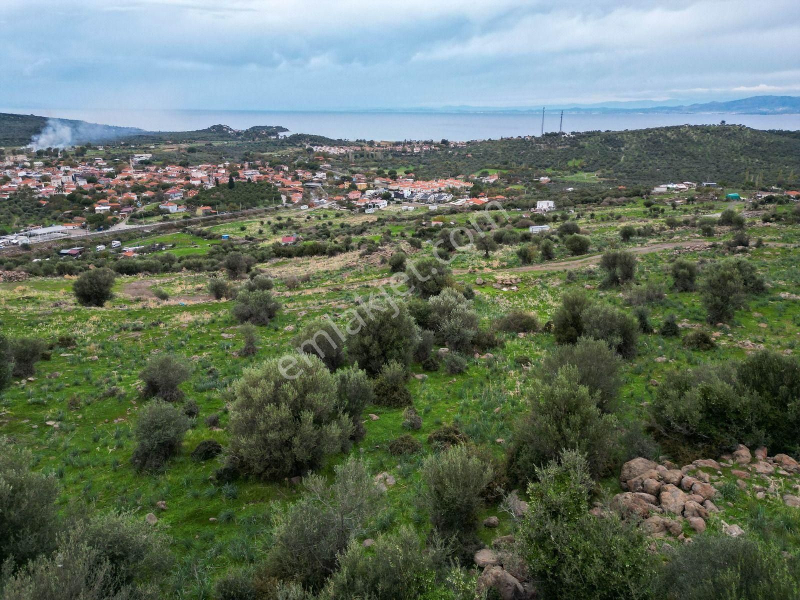 Dikili Bademli Karşıavluda Satılık Deniz Manzaralı Arsa. - Görsel 12