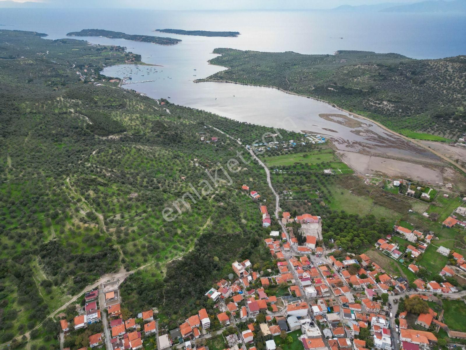 Dikili Bademli Karşıavluda Satılık Deniz Manzaralı Arsa. - Görsel 5