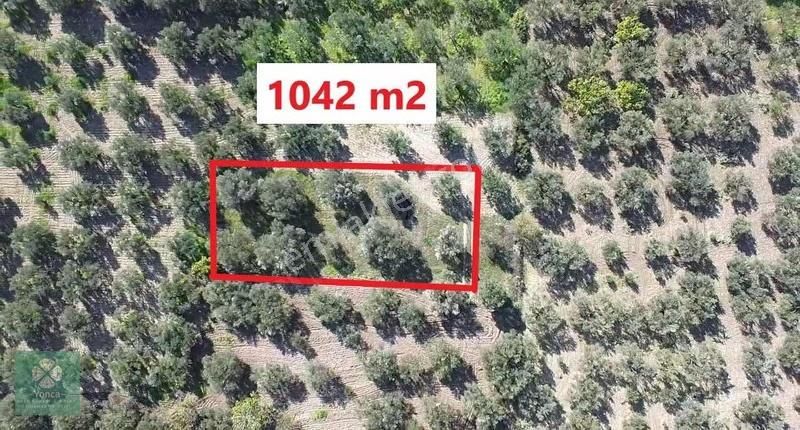 Yonca Gyo Çavdır Köyün De İkiz Hobi Bahçesi