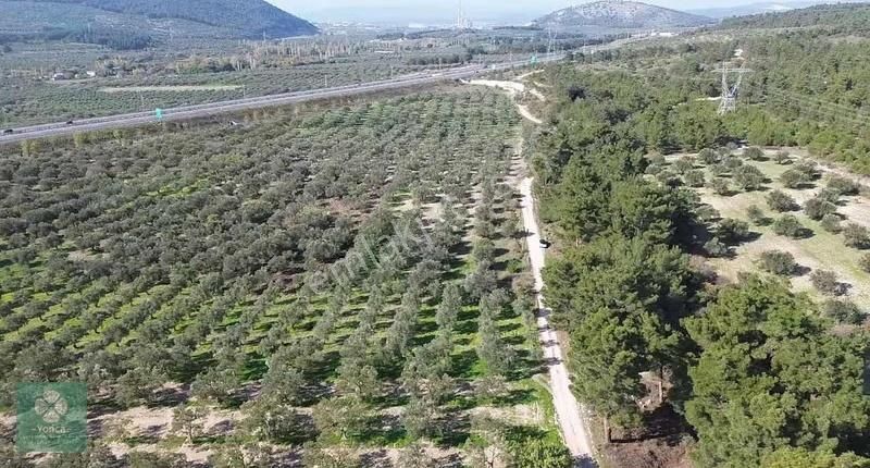 Yonca Gyo Çavdır Köyün De İkiz Hobi Bahçesi - Görsel 10