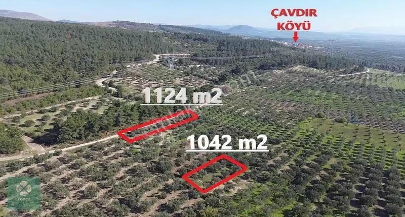 Yonca Gyo Çavdır Köyün De İkiz Hobi Bahçesi - Görsel 4