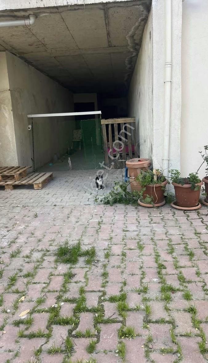 Arnavutköy İslambey De Satılık Depo - Görsel 5