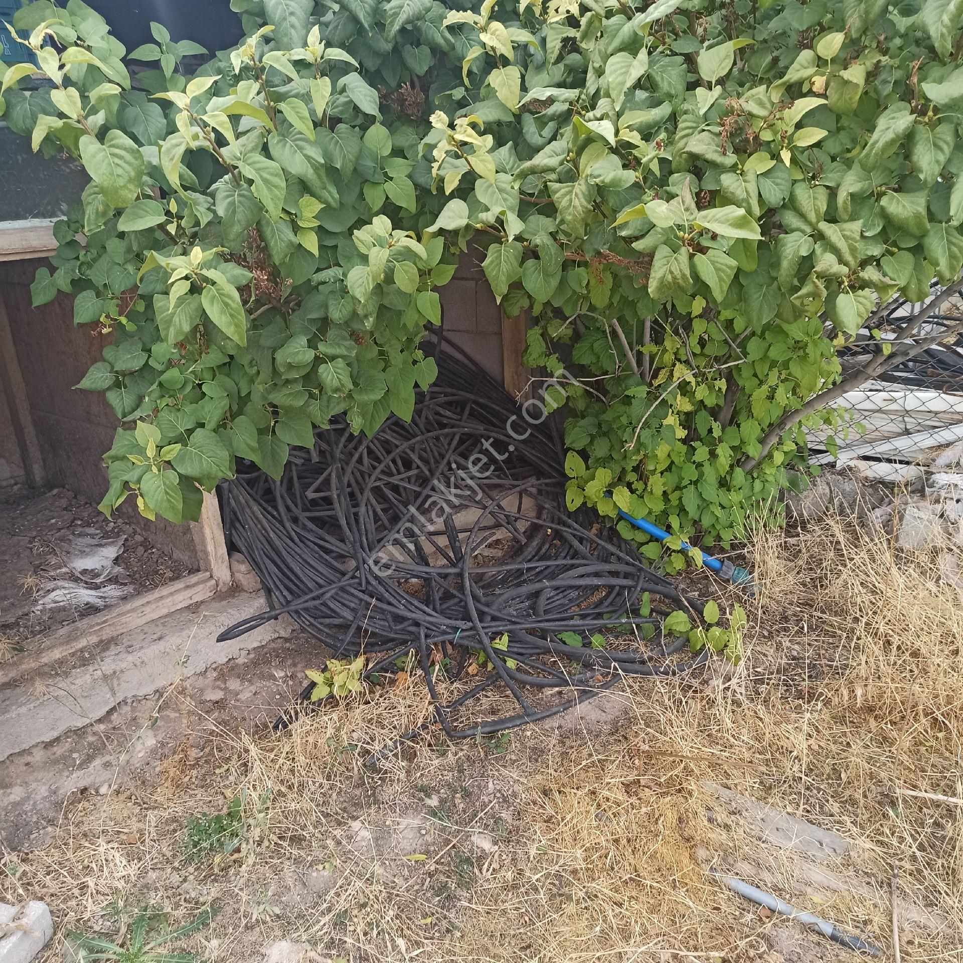 Kiralık Bahçeli Ev Selçuk Üniversitesi Yani 1565m2 - Görsel 13