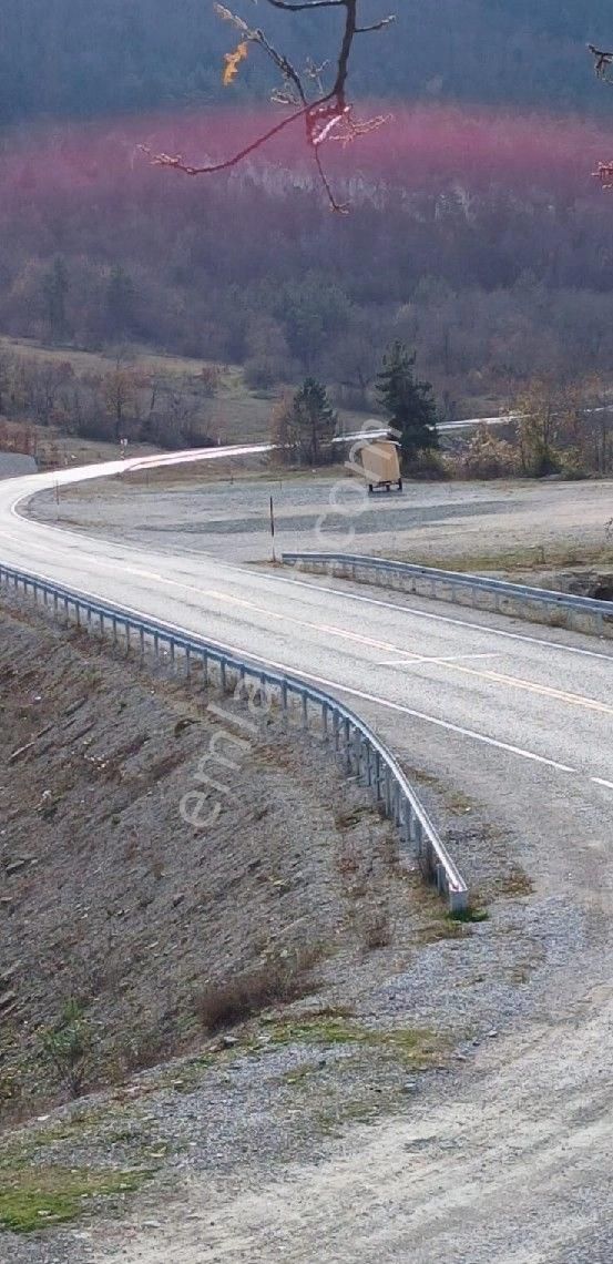Sabuncoğlu Gayrımenkulden, Sinop.dikmen Bucakda,aba Yol Kenarında Primlik Arazi - Görsel 9