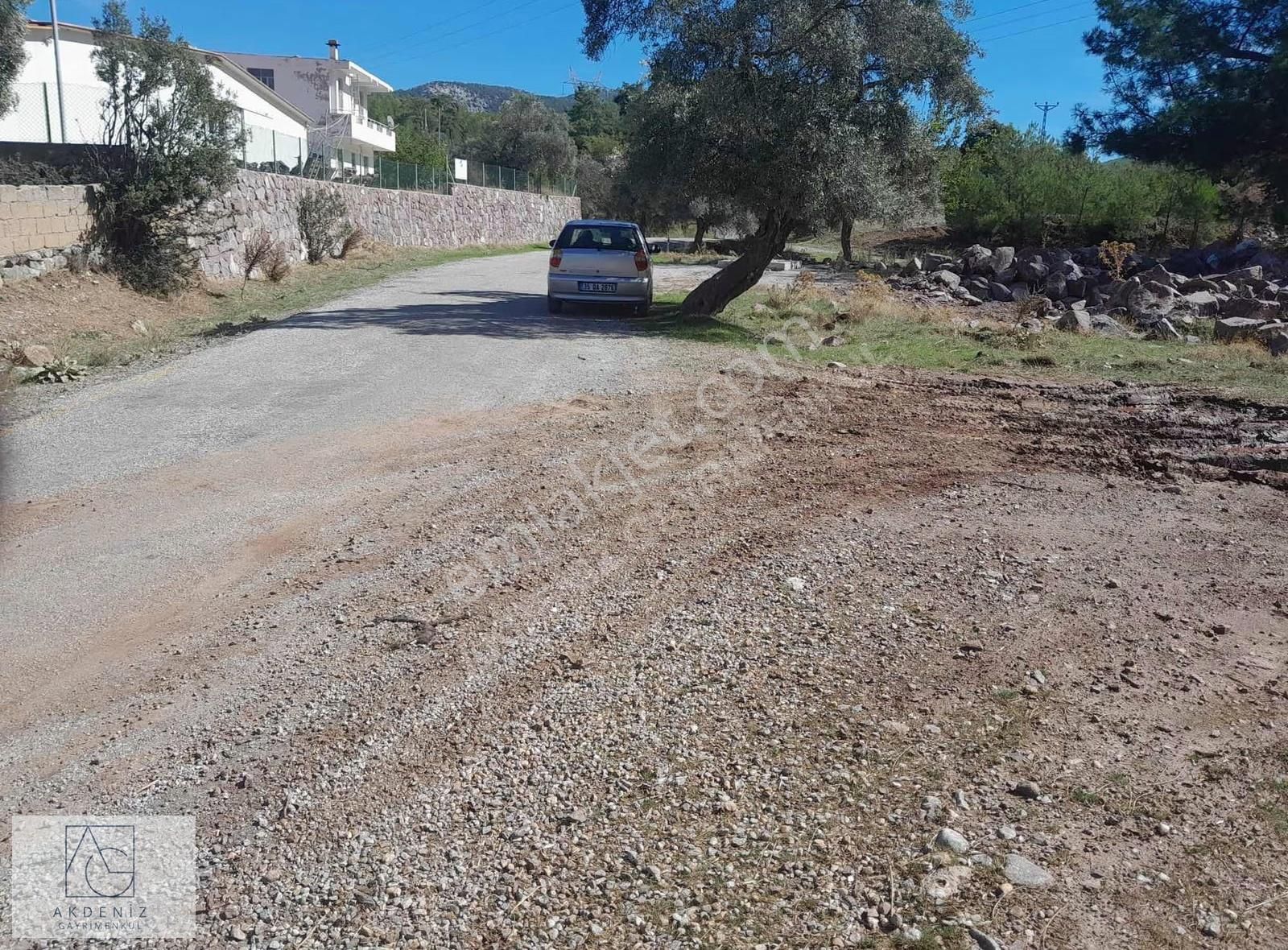 Milas Çamlıbelende Satılık Zeytinli Tarla - Görsel 2