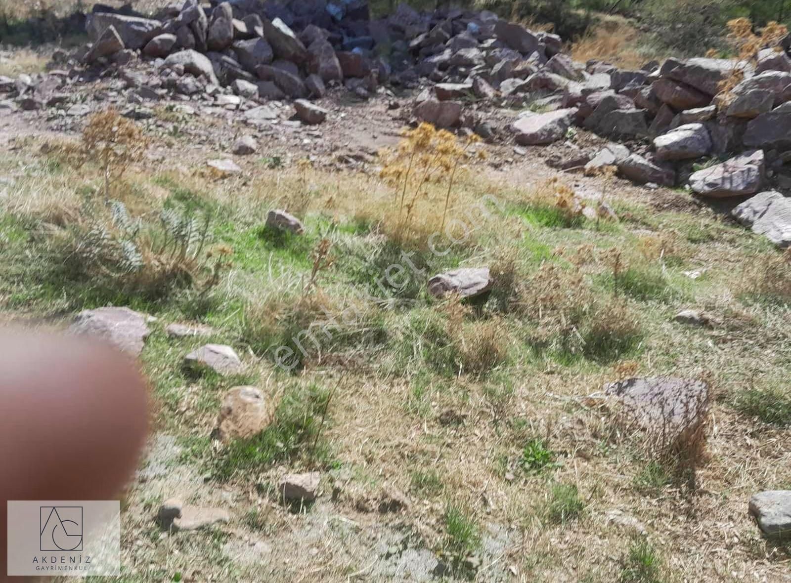 Milas Çamlıbelende Satılık Zeytinli Tarla - Görsel 8