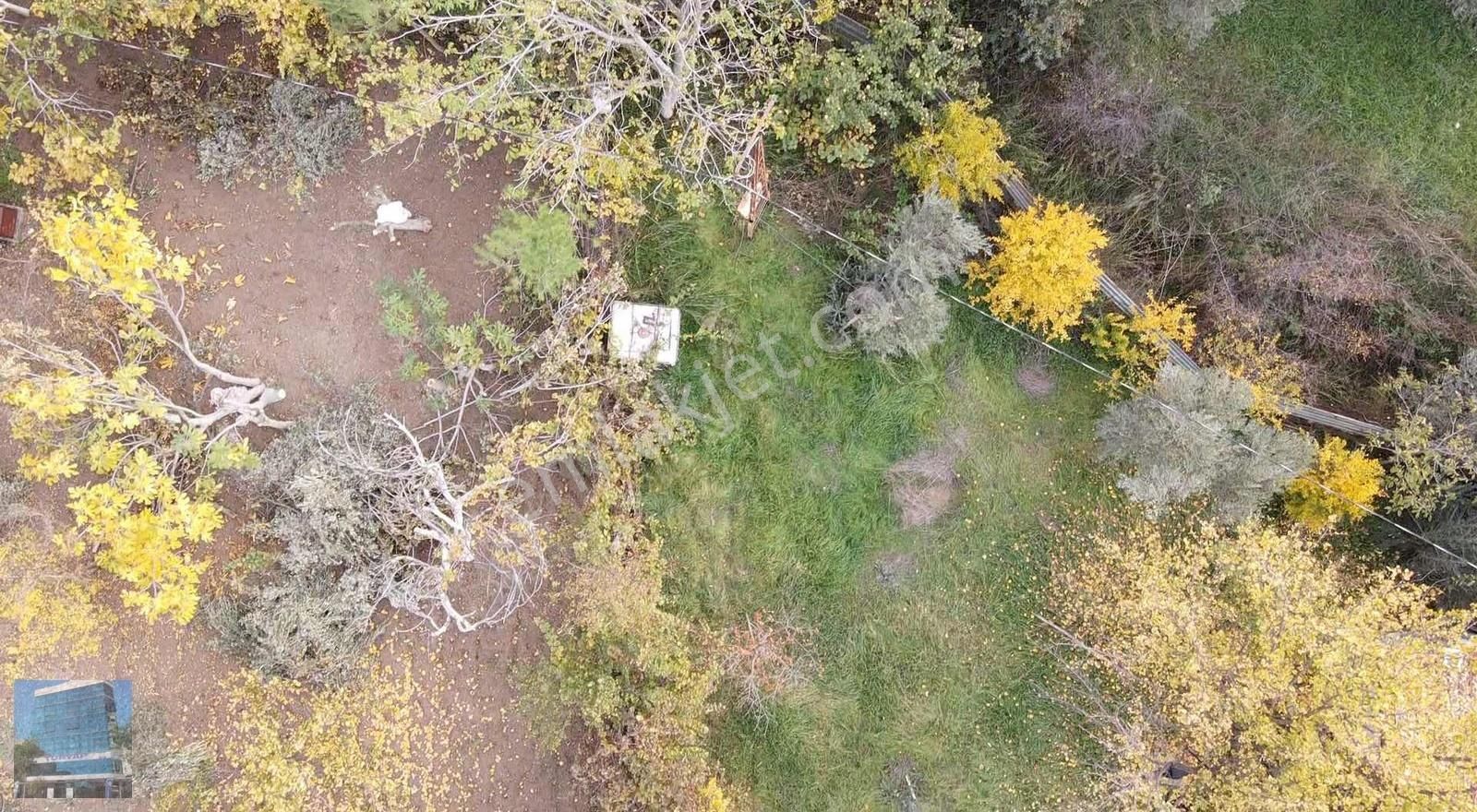 Buca Karaağaç Tek Tapu (elektrik Ve Su +) Satılık Müstakil Arazi - Görsel 19