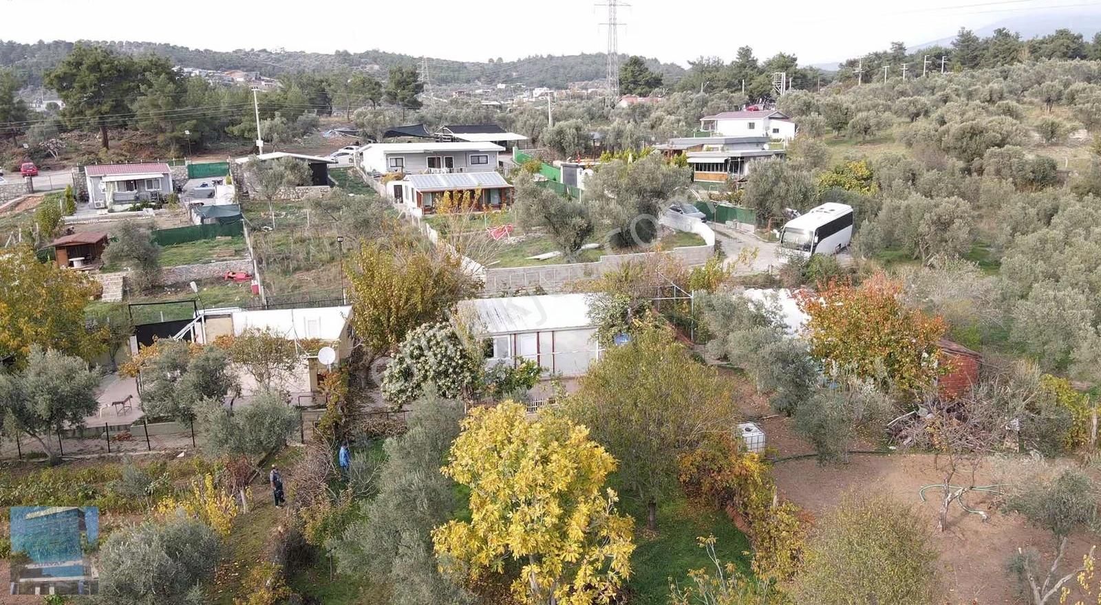 Buca Karaağaç Tek Tapu (elektrik Ve Su +) Satılık Müstakil Arazi - Görsel 34