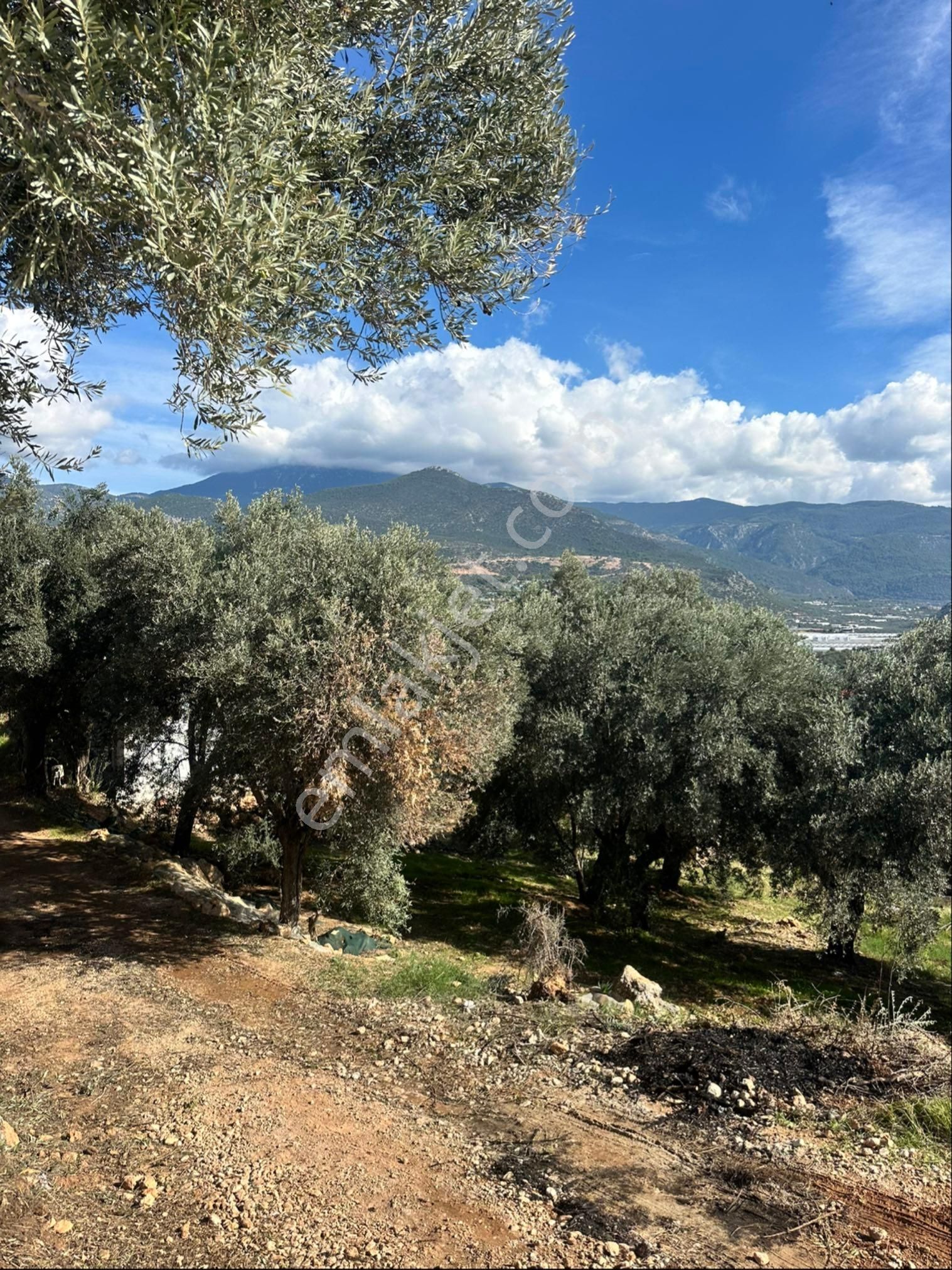 Sahibinden Satılık Arsa - Görsel 9