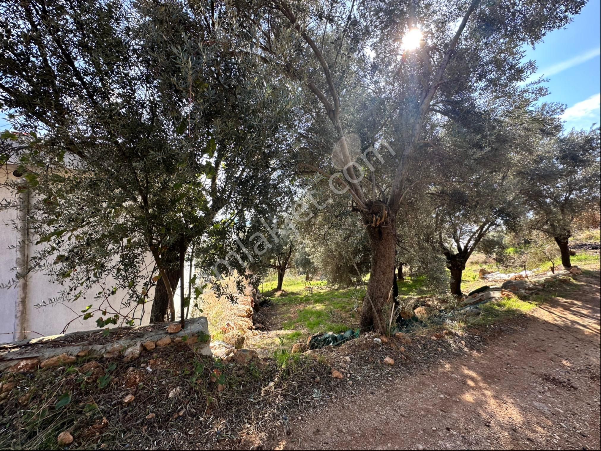 Sahibinden Satılık Arsa - Görsel 5