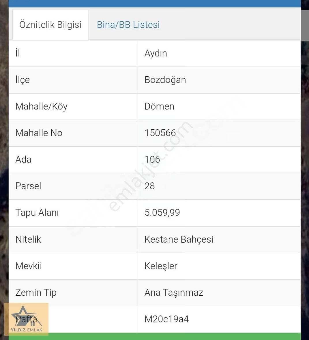 Aydın Bozdoğan Satılık Kestane Bahçesi - Görsel 2