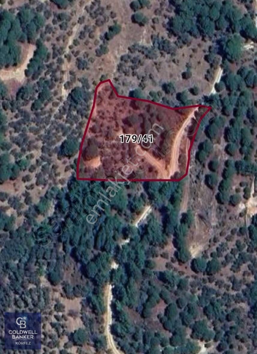 Balıkesir Edremit Doyran'da Satılık 4162 M2 Zeytinlik - Görsel 2