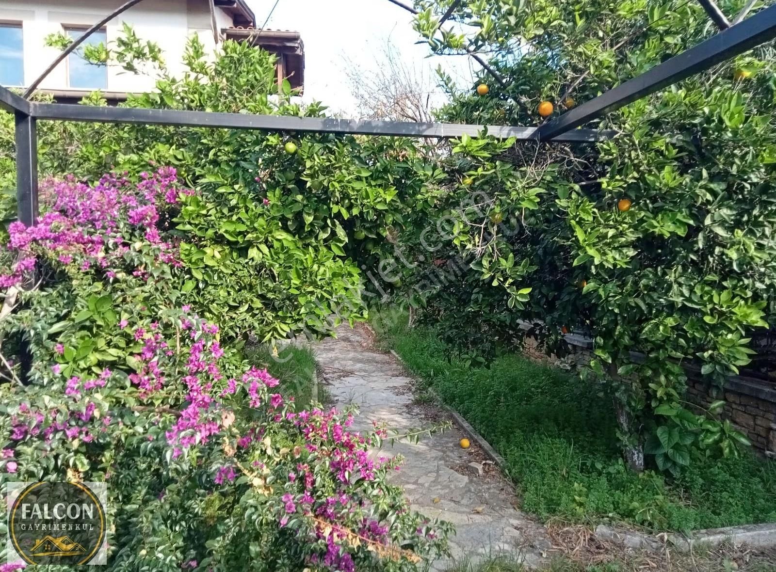 Falcon Dan Akarca Da Fırsat 714m²arsa - Görsel 16