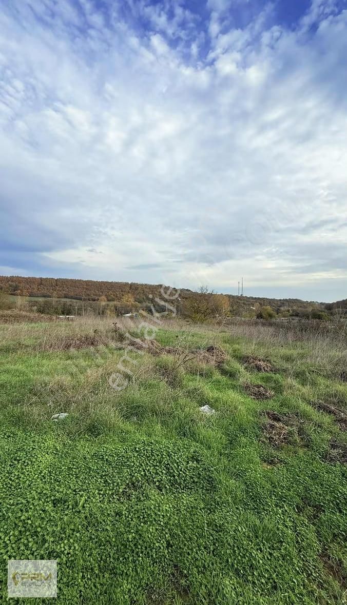 Çatalca İhsaniyede 390 M² Köye Yürüme Mesafesinde - Görsel 15