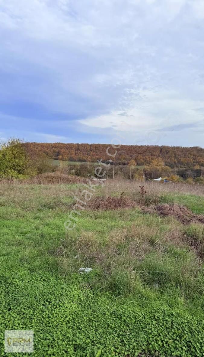 Çatalca İhsaniyede 390 M² Köye Yürüme Mesafesinde - Görsel 16