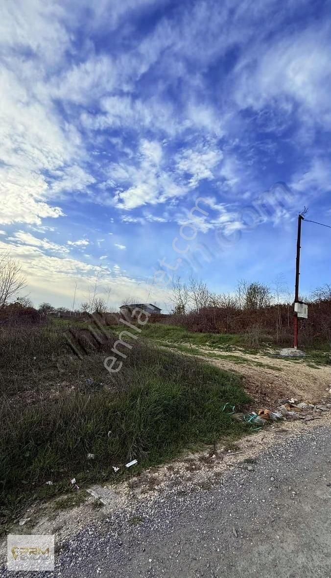 Çatalca İhsaniyede 390 M² Köye Yürüme Mesafesinde - Görsel 12