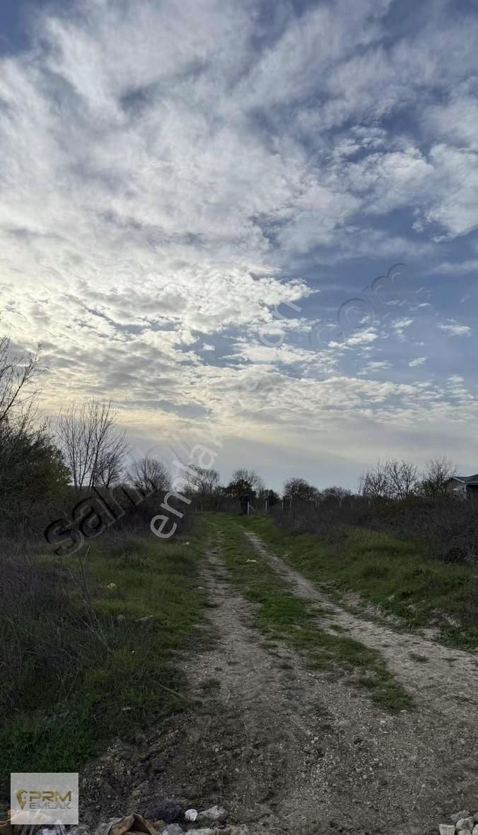 Çatalca İhsaniyede 390 M² Köye Yürüme Mesafesinde - Görsel 7