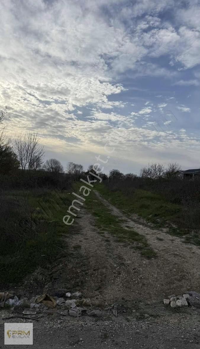 Çatalca İhsaniyede 390 M² Köye Yürüme Mesafesinde - Görsel 10