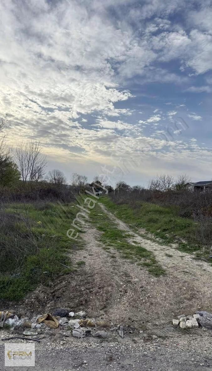 Çatalca İhsaniyede 390 M² Köye Yürüme Mesafesinde - Görsel 22