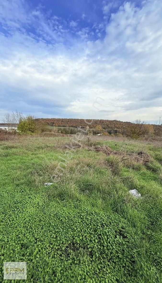 Çatalca İhsaniyede 390 M² Köye Yürüme Mesafesinde - Görsel 14