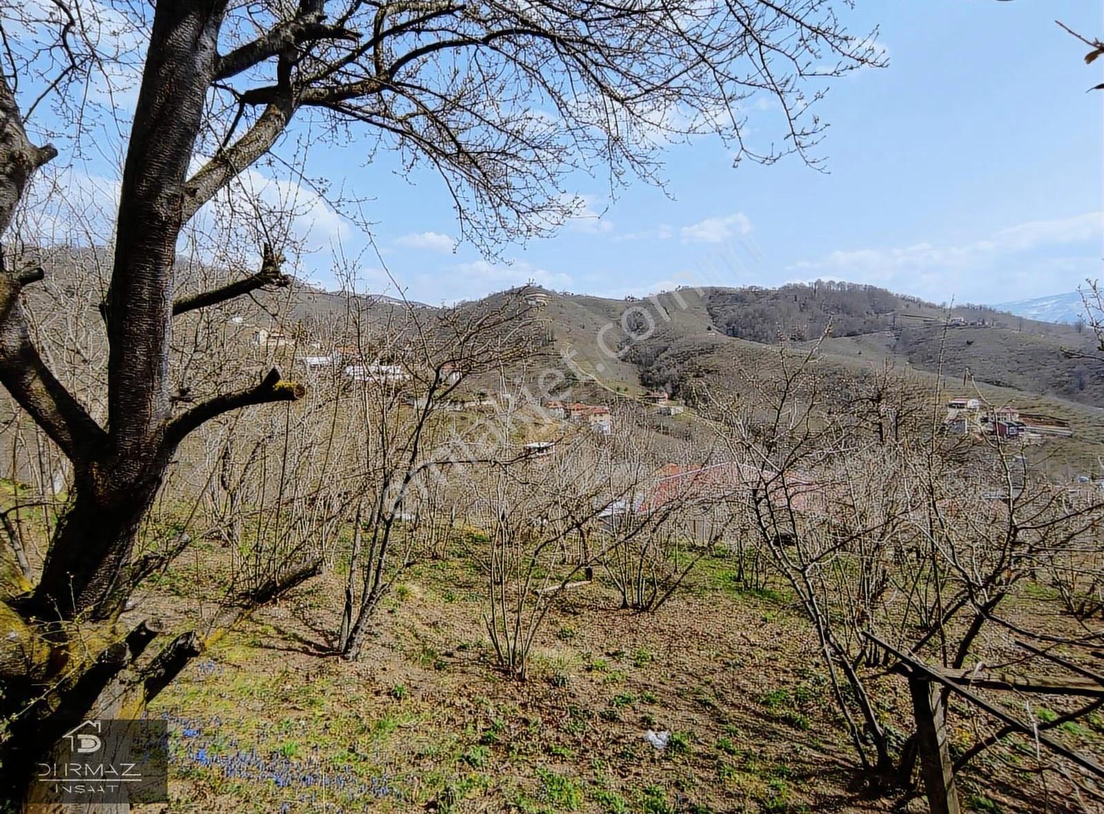 Eşsiz Kuzuluk Manzarası Sizinle: Hakim Tepede Lüks Yaşam Fırsatı - Görsel 9