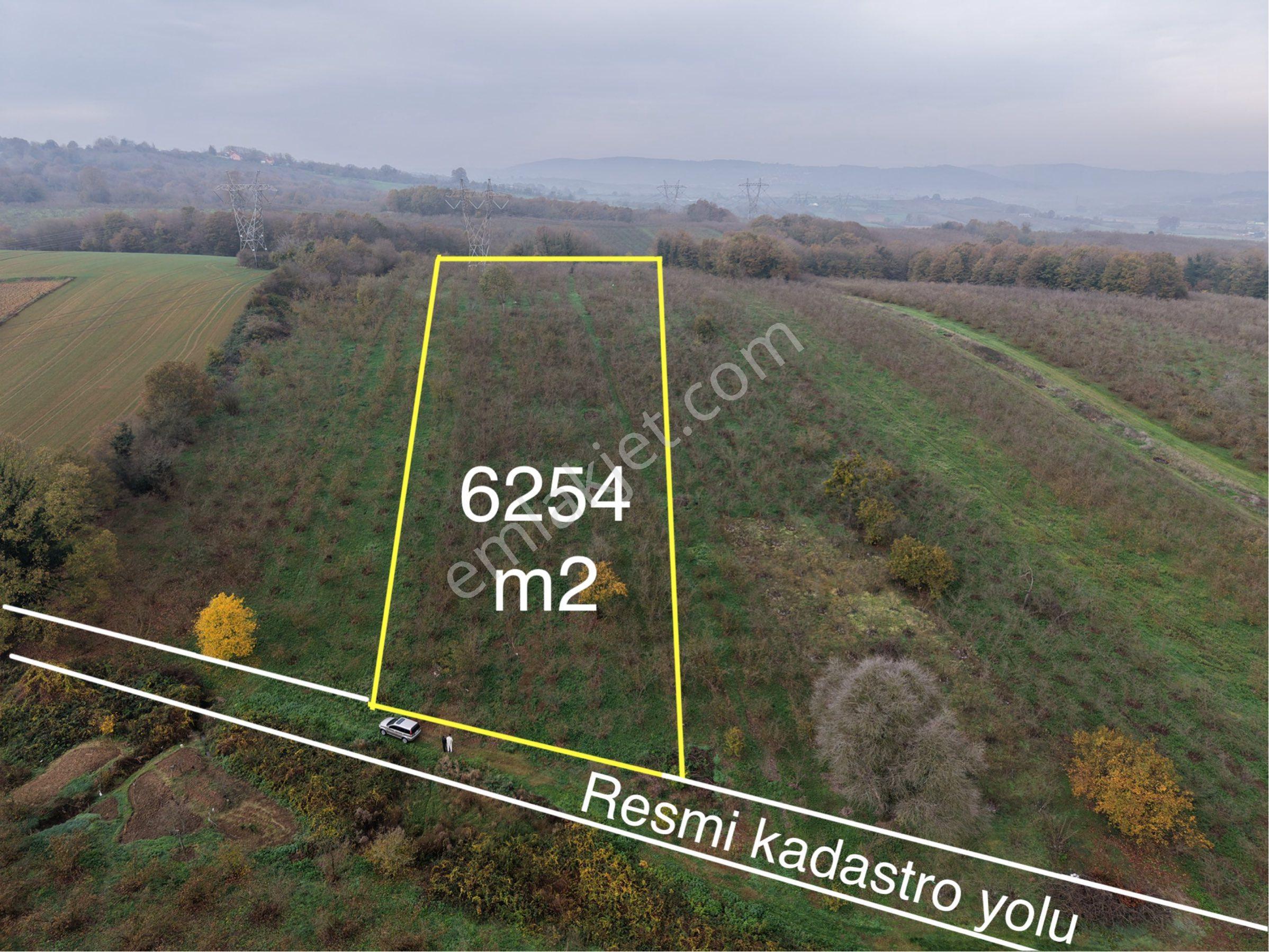 Adapazarı Alandüzü 6254 M2 Resmi Yola Cephe İmarlı Satılık Arsa - Görsel 2