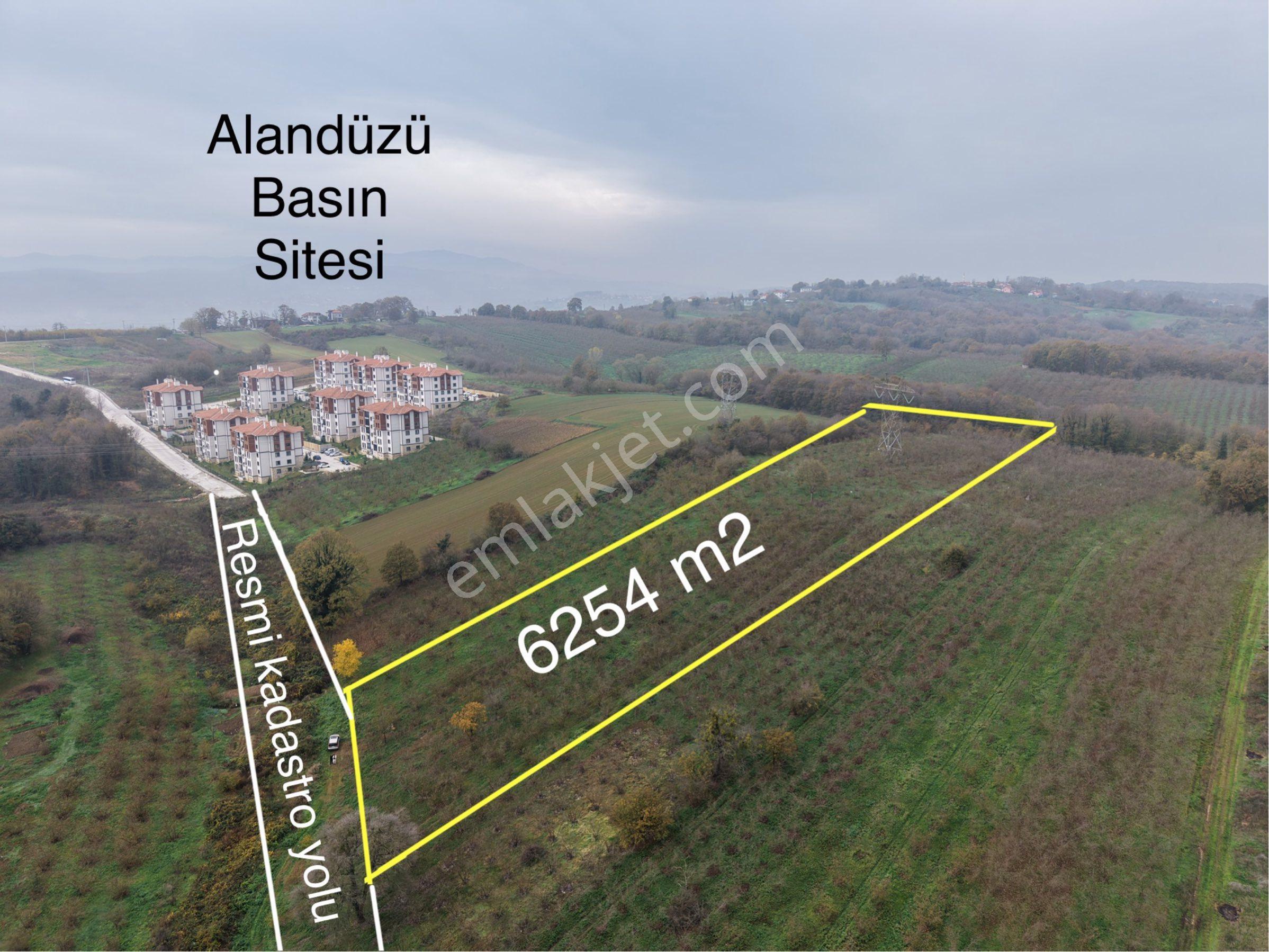 Adapazarı Alandüzü 6254 M2 Resmi Yola Cephe İmarlı Satılık Arsa