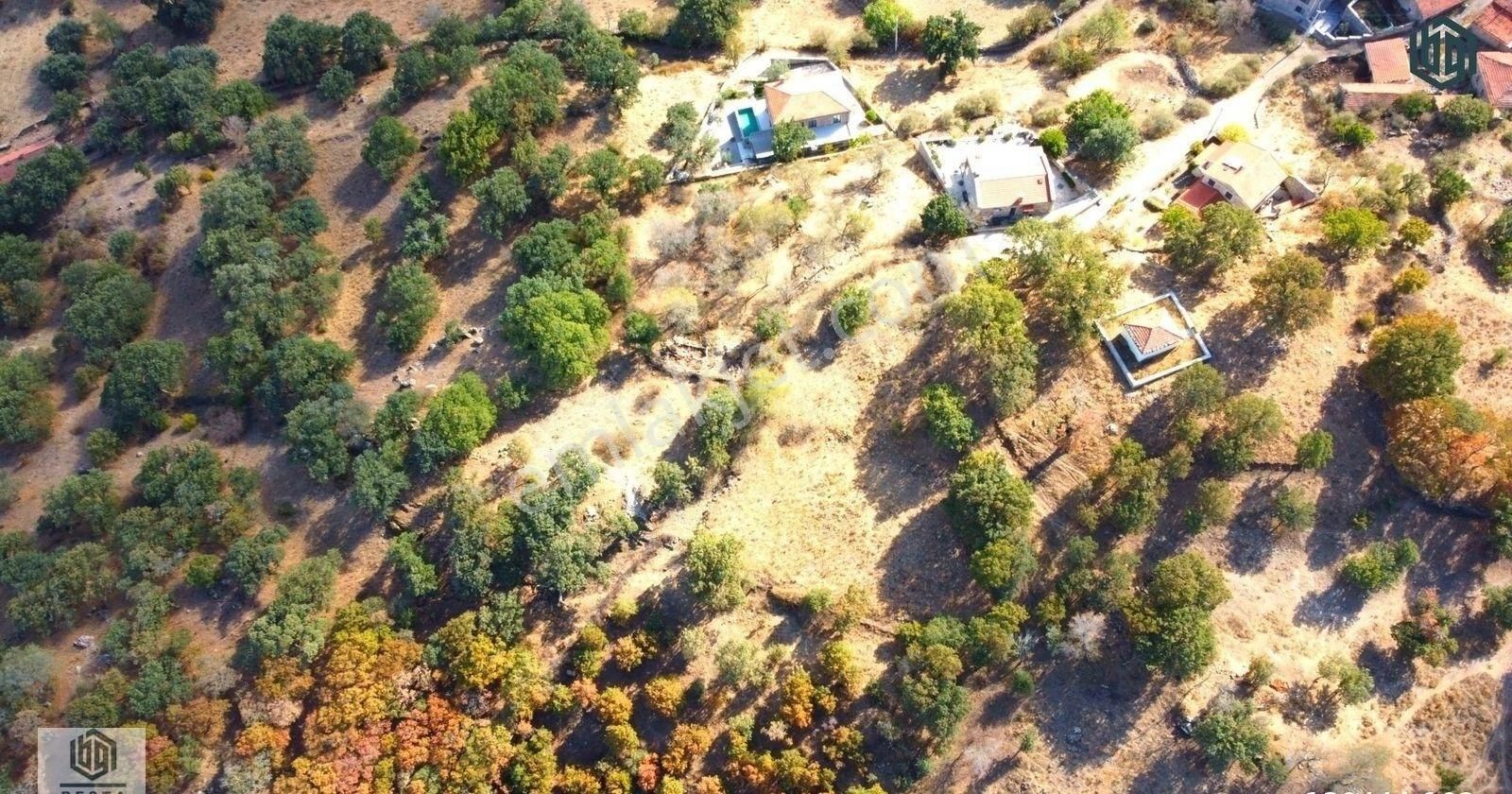 Söğütlü Köyünde İmarlı 406 M2 Ve 899 M2 Satılık Arsa Ve Tarla - Görsel 9