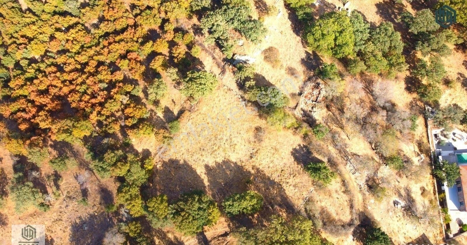 Söğütlü Köyünde İmarlı 406 M2 Ve 899 M2 Satılık Arsa Ve Tarla - Görsel 23