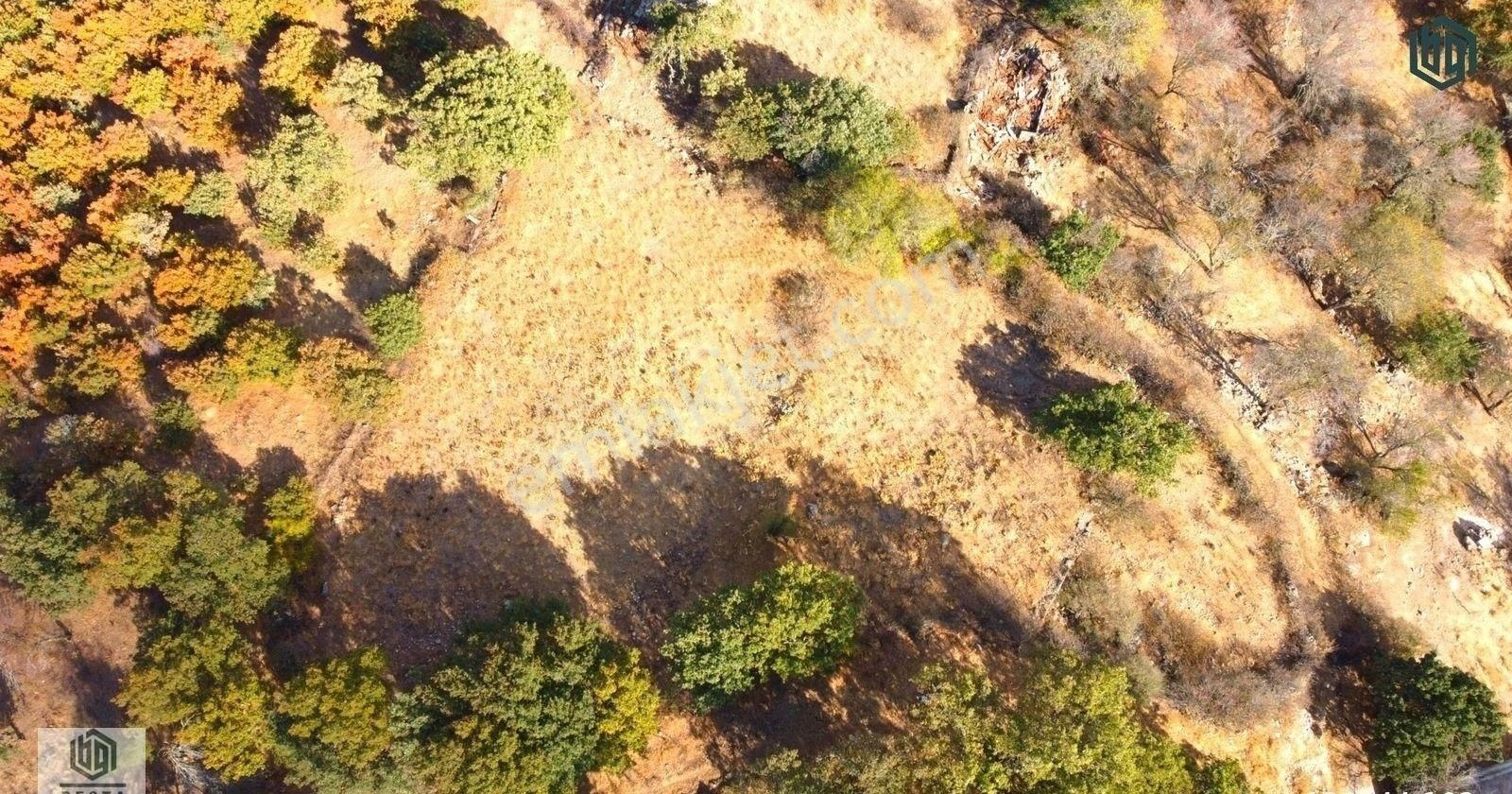 Söğütlü Köyünde İmarlı 406 M2 Ve 899 M2 Satılık Arsa Ve Tarla - Görsel 21