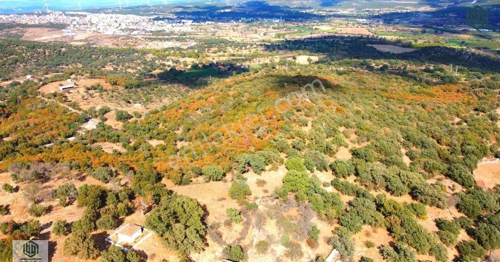 Söğütlü Köyünde İmarlı 406 M2 Ve 899 M2 Satılık Arsa Ve Tarla - Görsel 8