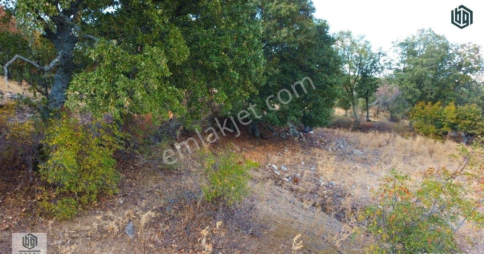 Söğütlü Köyünde İmarlı 406 M2 Ve 899 M2 Satılık Arsa Ve Tarla - Görsel 13