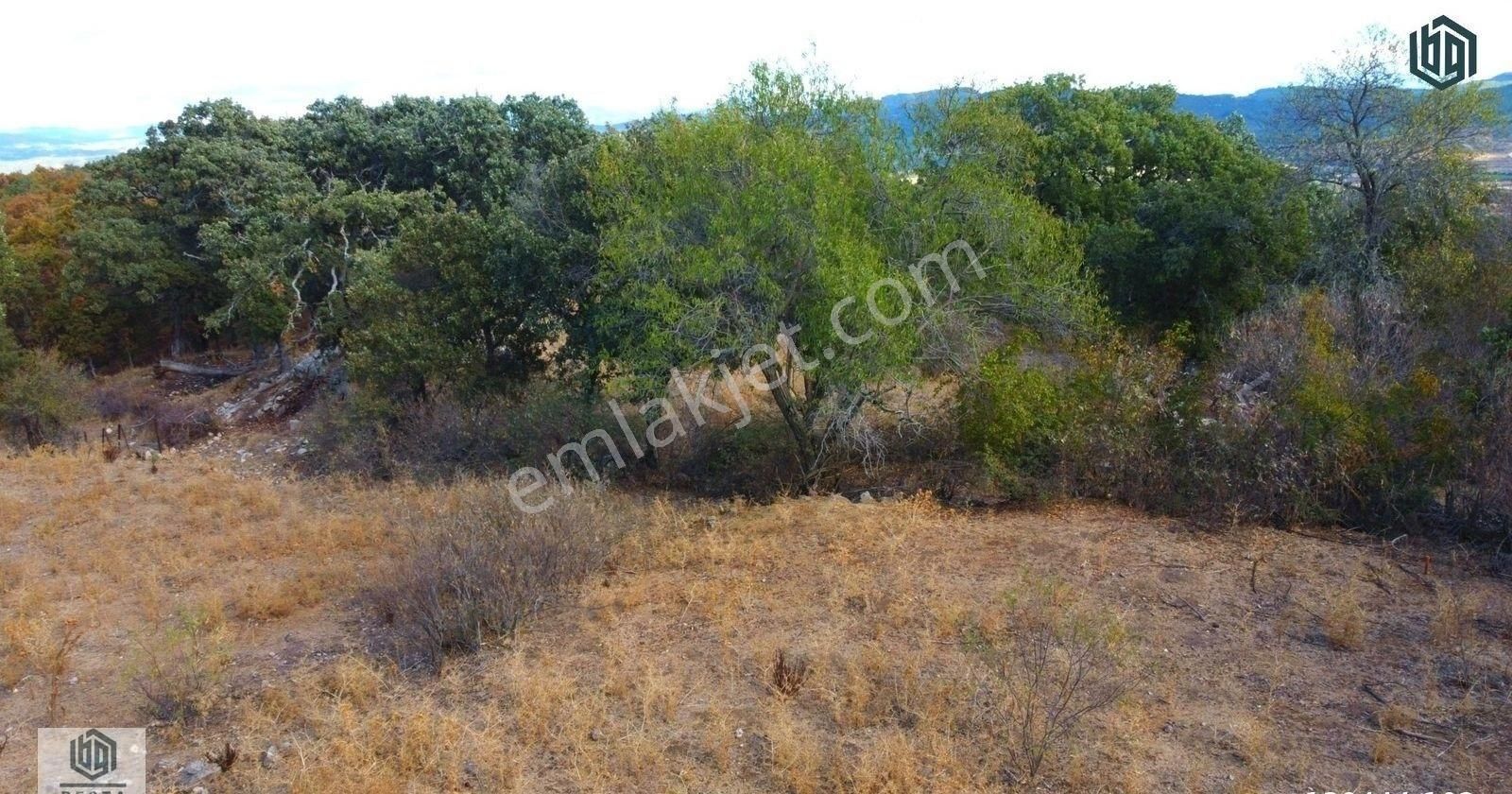 Söğütlü Köyünde İmarlı 406 M2 Ve 899 M2 Satılık Arsa Ve Tarla - Görsel 10