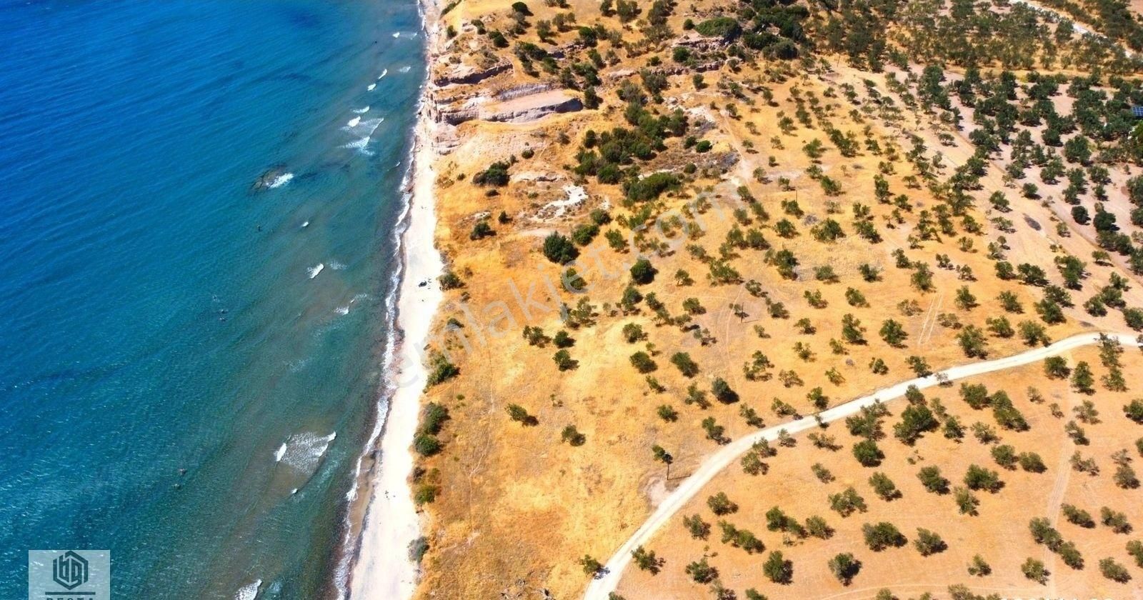 Ayvacık Babakale Köyünde Denize 1 Parsel Satılık Arsa - Görsel 13