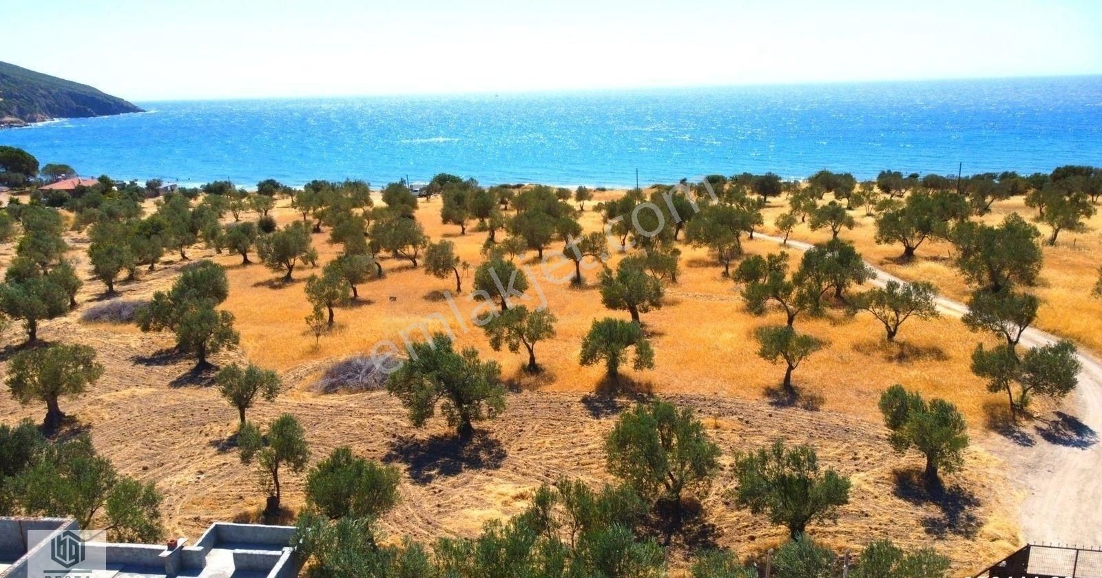 Ayvacık Babakale Köyünde Denize 1 Parsel Satılık Arsa - Görsel 10