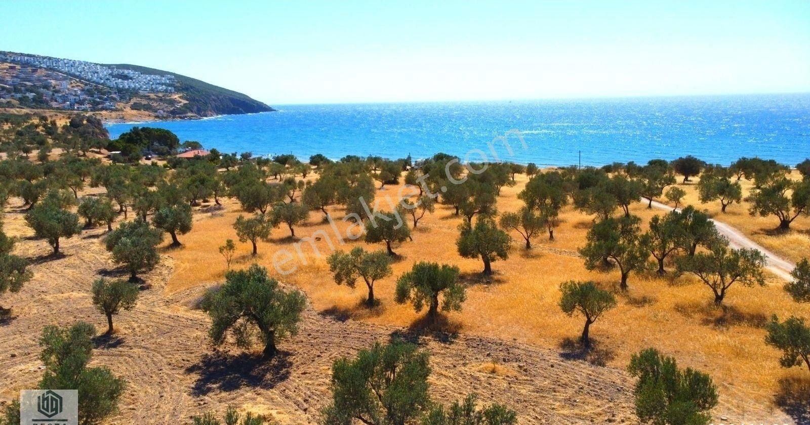 Ayvacık Babakale Köyünde Denize 1 Parsel Satılık Arsa - Görsel 14
