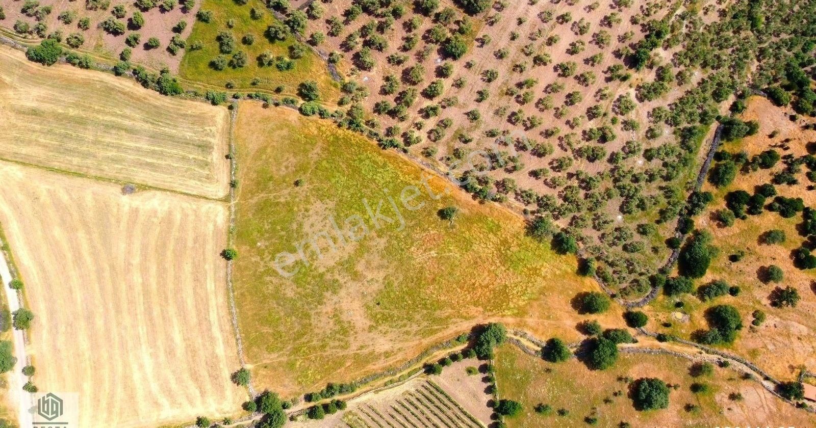 Ayvacık Korubaşı Köyünde Resmi Yolu Olan Deniz Manzaralı Tarla - Görsel 12