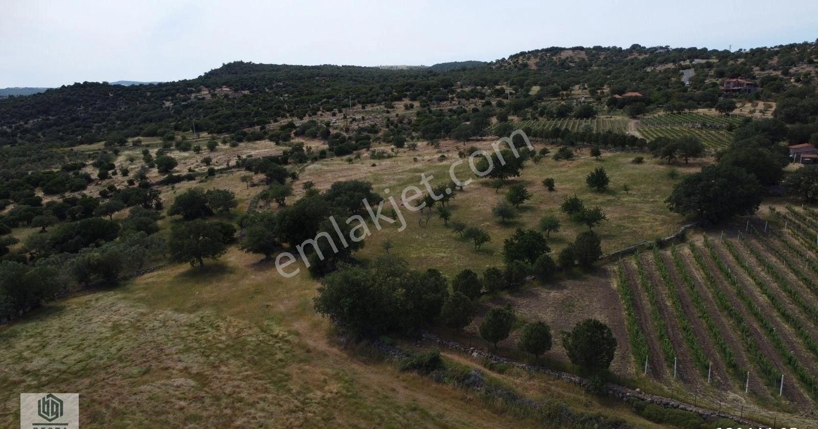 Ayvacık Korubaşı Köyünde Resmi Yolu Olan Deniz Manzaralı Tarla - Görsel 6