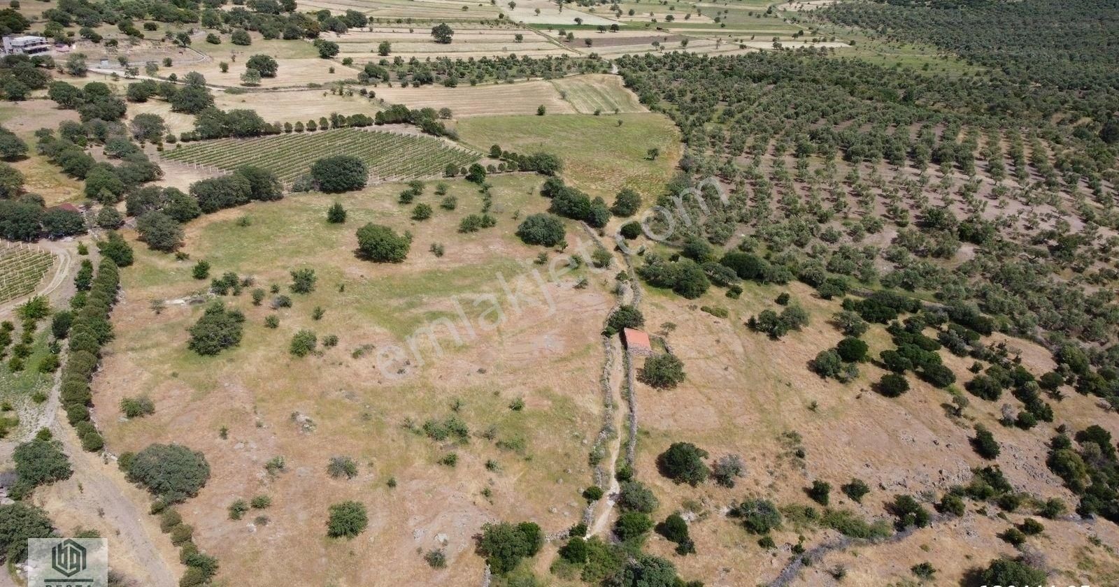 Ayvacık Korubaşı Köyünde Resmi Yolu Olan Deniz Manzaralı Tarla - Görsel 9