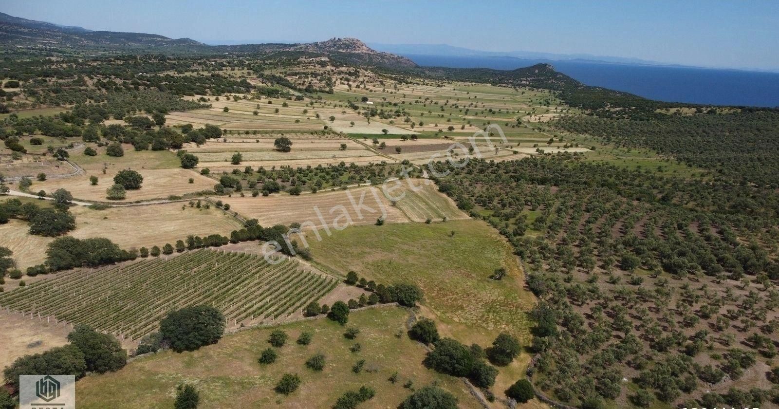 Ayvacık Korubaşı Köyünde Resmi Yolu Olan Deniz Manzaralı Tarla - Görsel 10