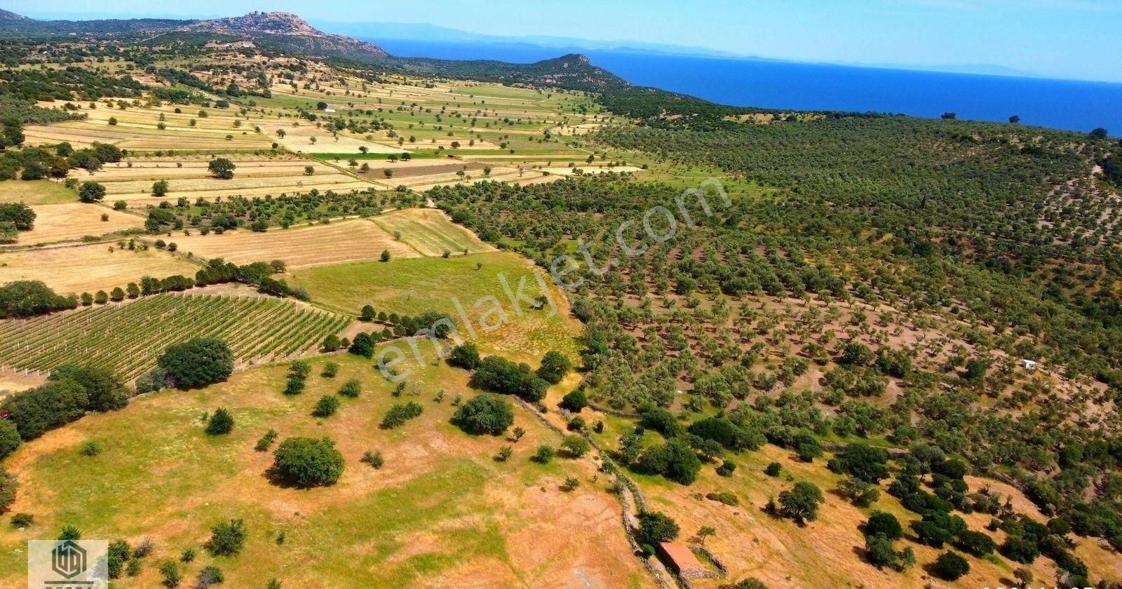 Ayvacık Korubaşı Köyünde Resmi Yolu Olan Deniz Manzaralı Tarla - Görsel 16