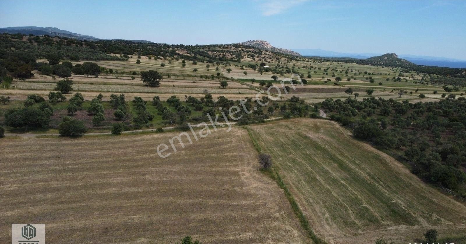 Ayvacık Korubaşı Köyünde Resmi Yolu Olan Deniz Manzaralı Tarla - Görsel 19