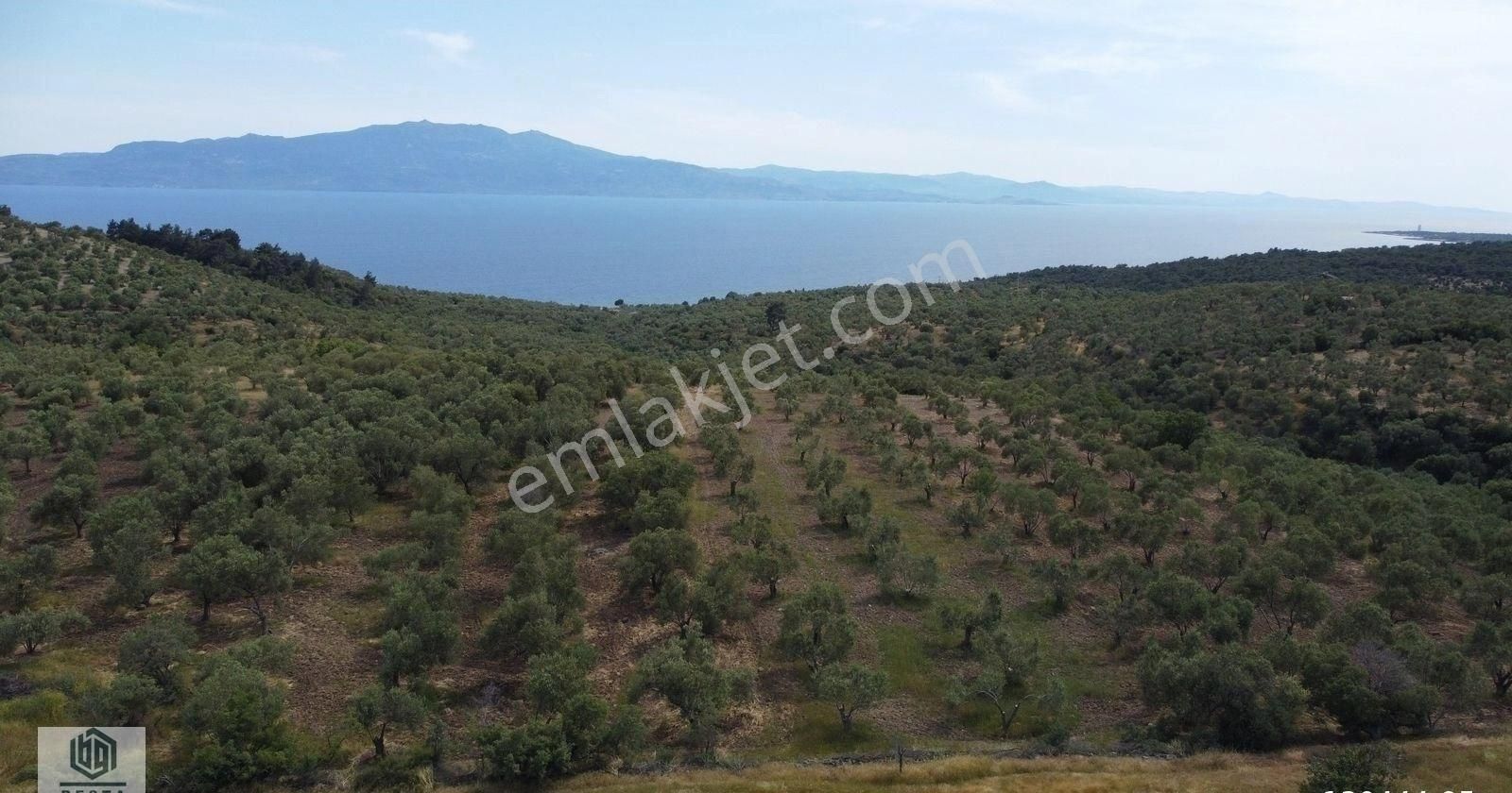 Ayvacık Korubaşı Köyünde Resmi Yolu Olan Deniz Manzaralı Tarla - Görsel 8