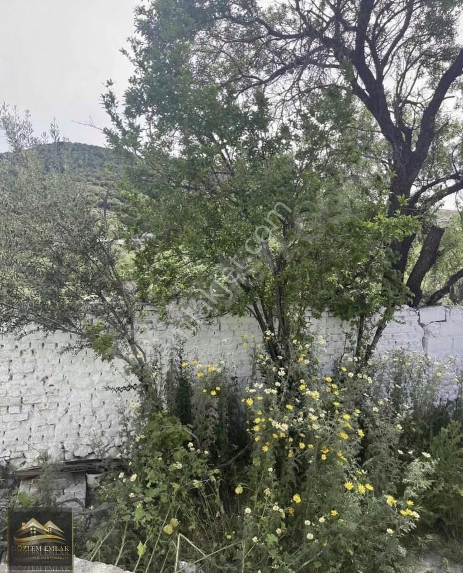 Yukarı Şakran Köyü Müstakil 2+1 Kiralık Ev - Görsel 3