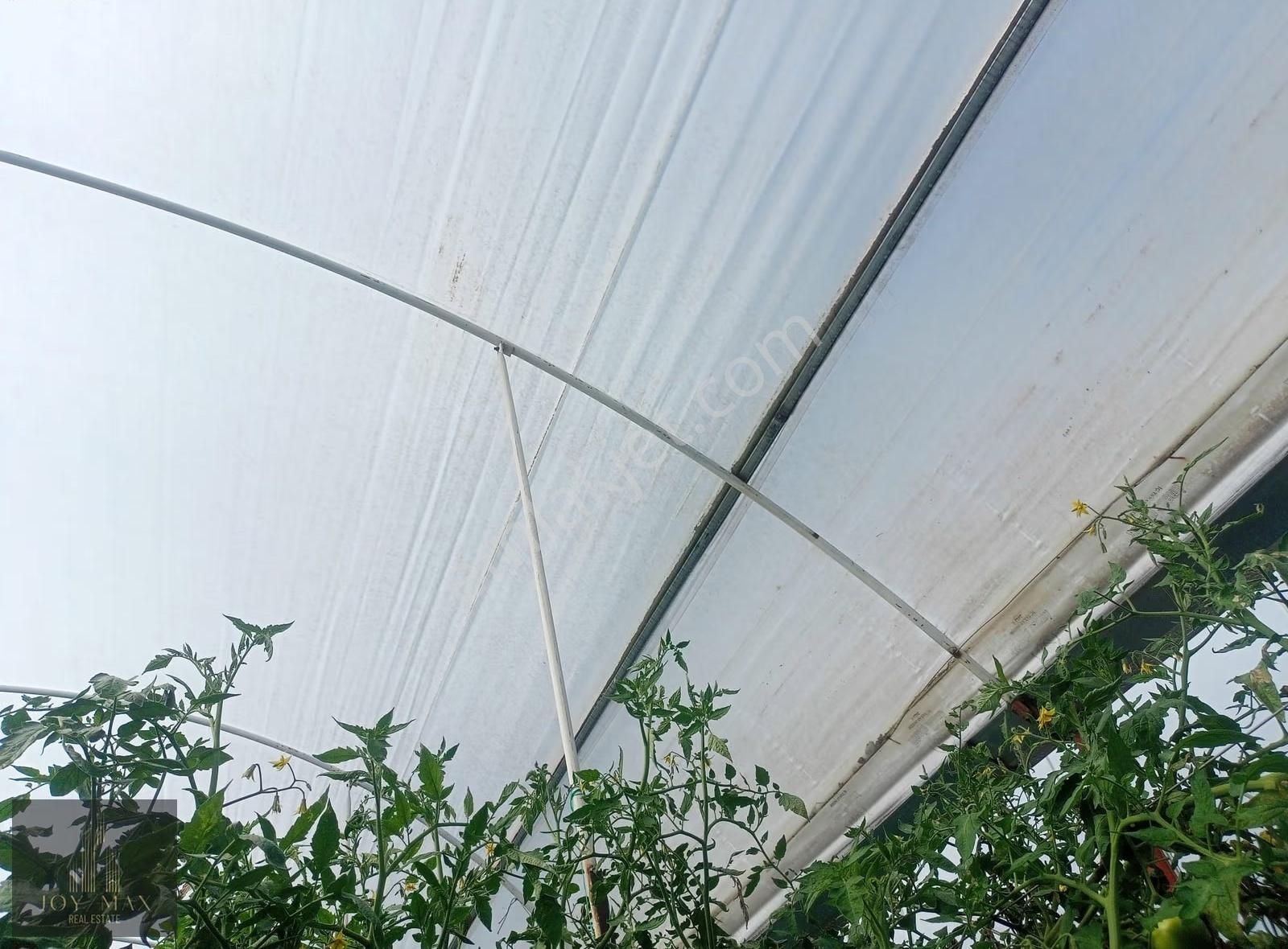 Joymax Gayrimenkul'den Burdur Gölhisar Yusufçada Satılık Tarla - Görsel 3