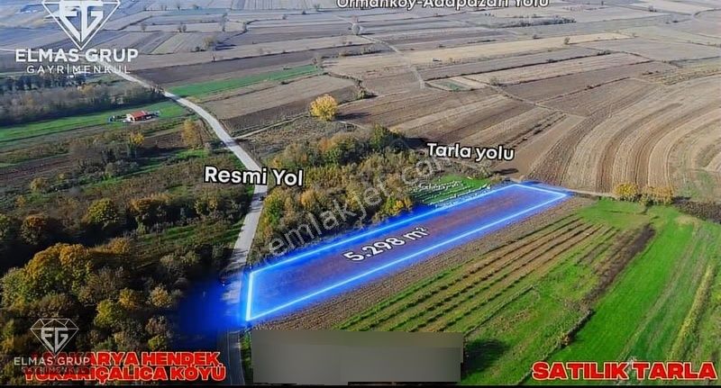 Hendek Yukarıçalıca Köyü Den 5.298 M2 Satılık Tarla!!! - Görsel 8