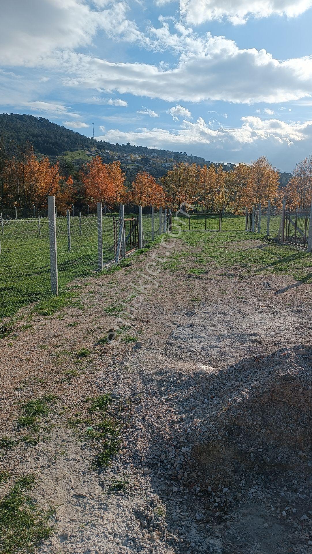 Manisa Yunusemre Avdal Köyünde Satılık Tapulu Hobi Bahçesi - Görsel 7