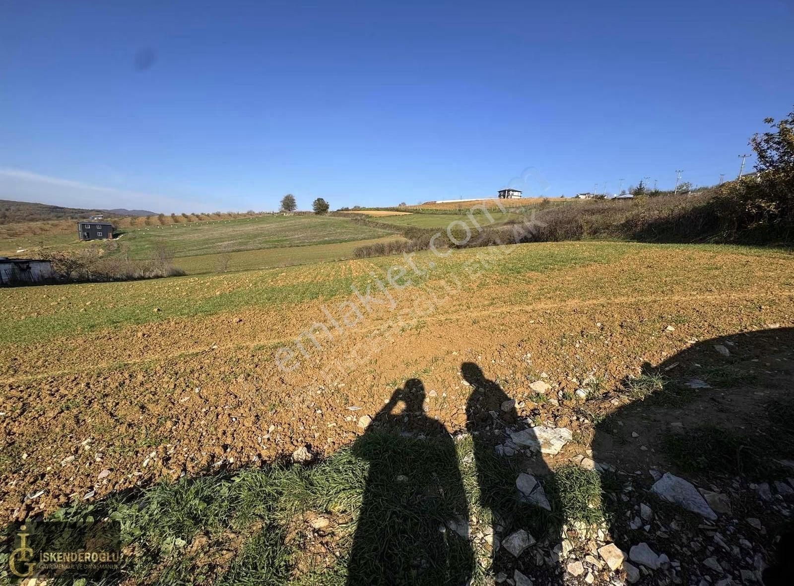 Kaynarca Uğurlu Fırsat Arazi - Görsel 3