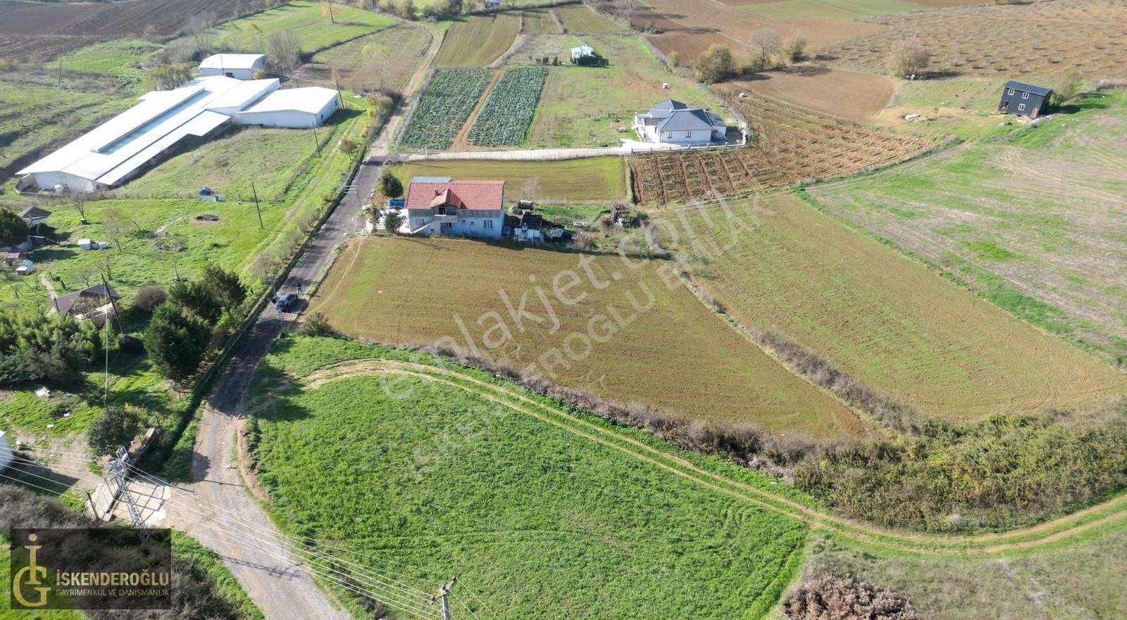 Kaynarca Uğurlu Fırsat Arazi - Görsel 13